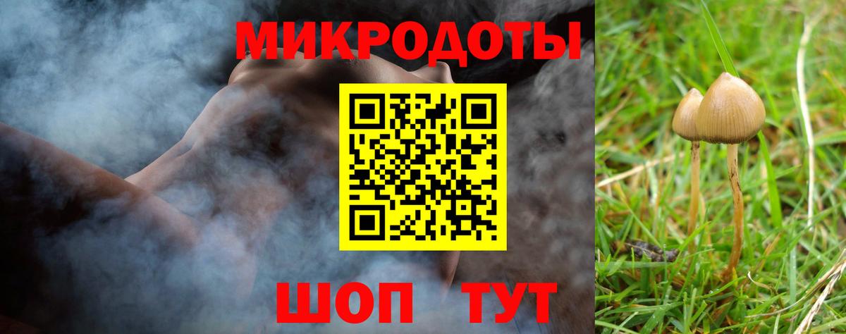 Нальчик  Галлюциногенные грибы MAGIC MUSHROOMS  Вход с VPN 